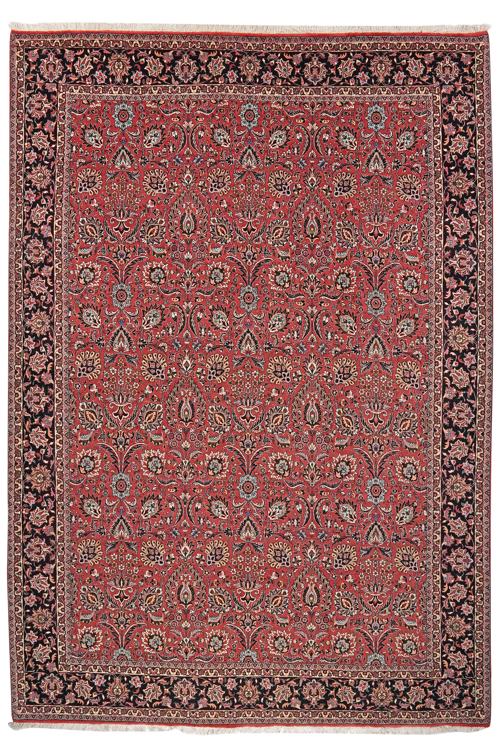 Bidjar — Handgefertigt, 296x207 cm, Blau, 100% Virgin Wool | Main view