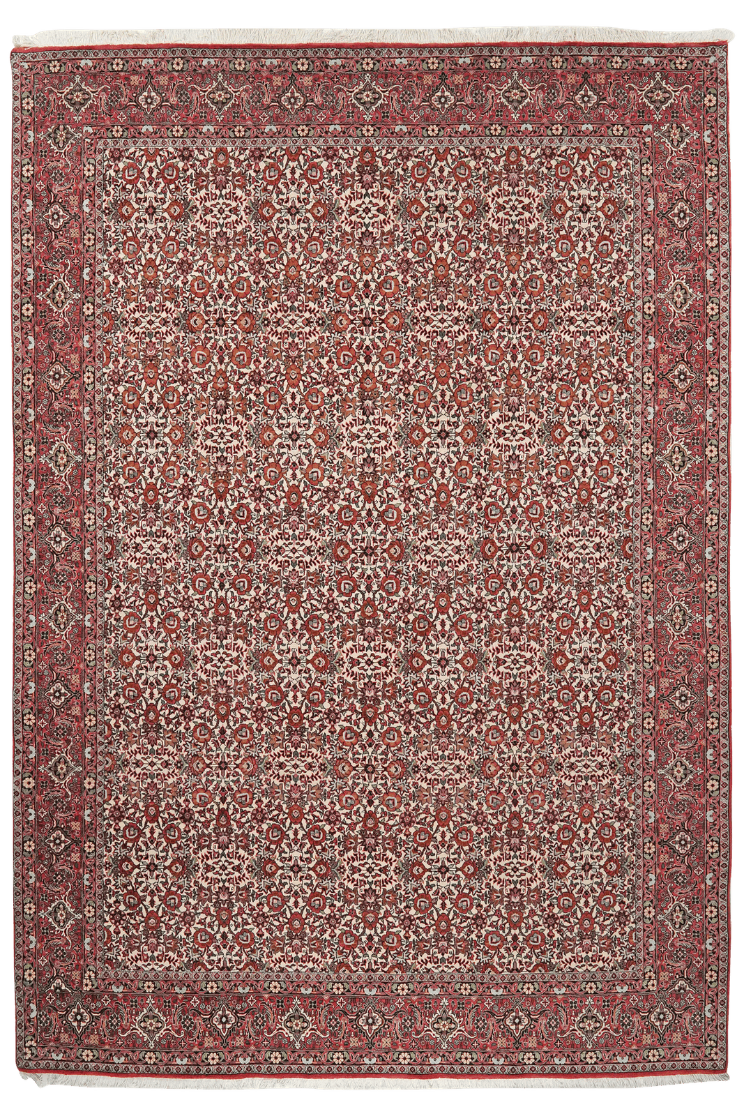 Bidjar — Hand-knotted, 198x288 cm, Beige, 100% Virgin Wool | Main view
