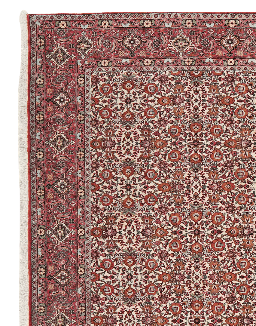 Bidjar — Hand-knotted, 198x288 cm, Beige, 100% Virgin Wool | View 3