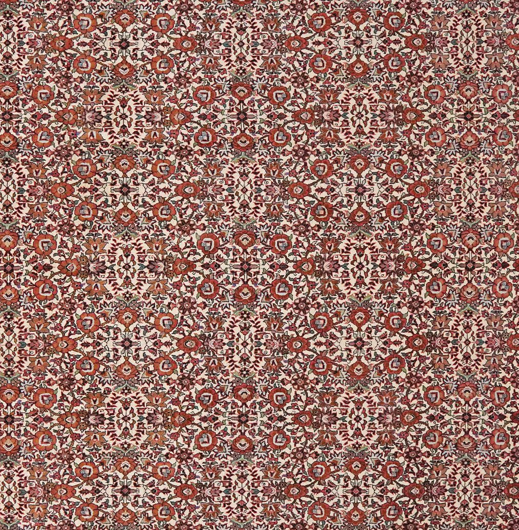 Bidjar — Hand-knotted, 198x288 cm, Beige, 100% Virgin Wool | View 4