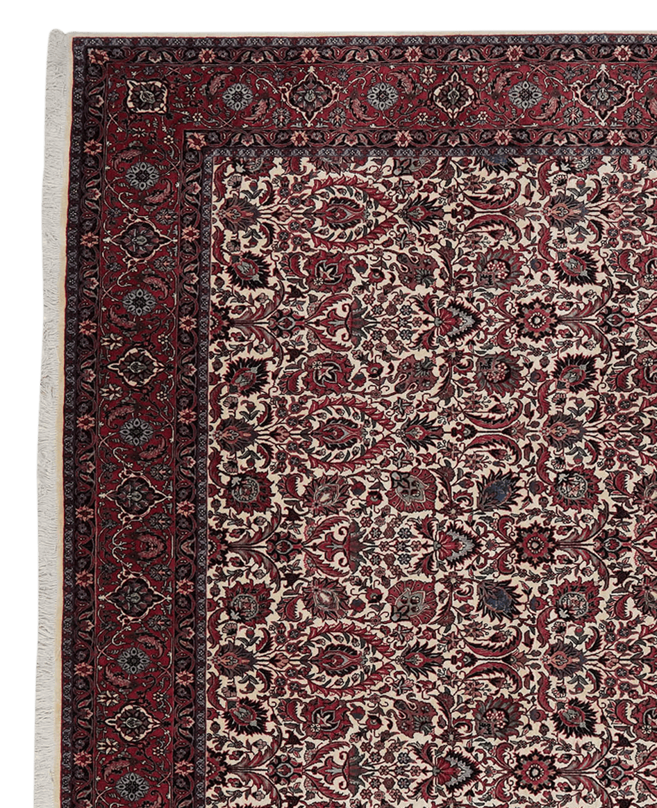 Bidjar Bookan — Hand-knotted, 251x345 cm, Beige, 100% Virgin Wool | View 3