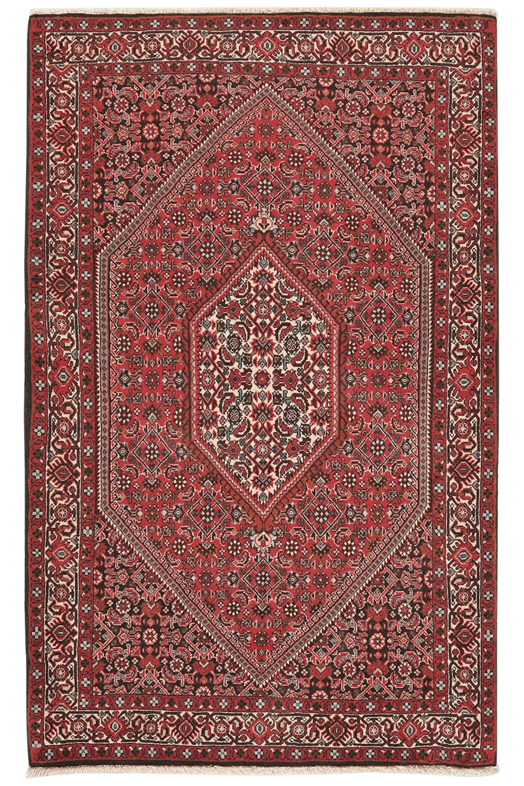 Bidjar Tekkab — Hand-knotted, 90x143 cm, Red, 100% Virgin Wool | Main view