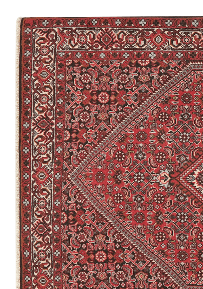 Bidjar Tekkab — Hand-knotted, 90x143 cm, Red, 100% Virgin Wool | View 3