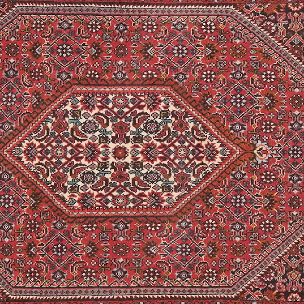 Bidjar Tekkab — Hand-knotted, 90x143 cm, Red, 100% Virgin Wool | View 4