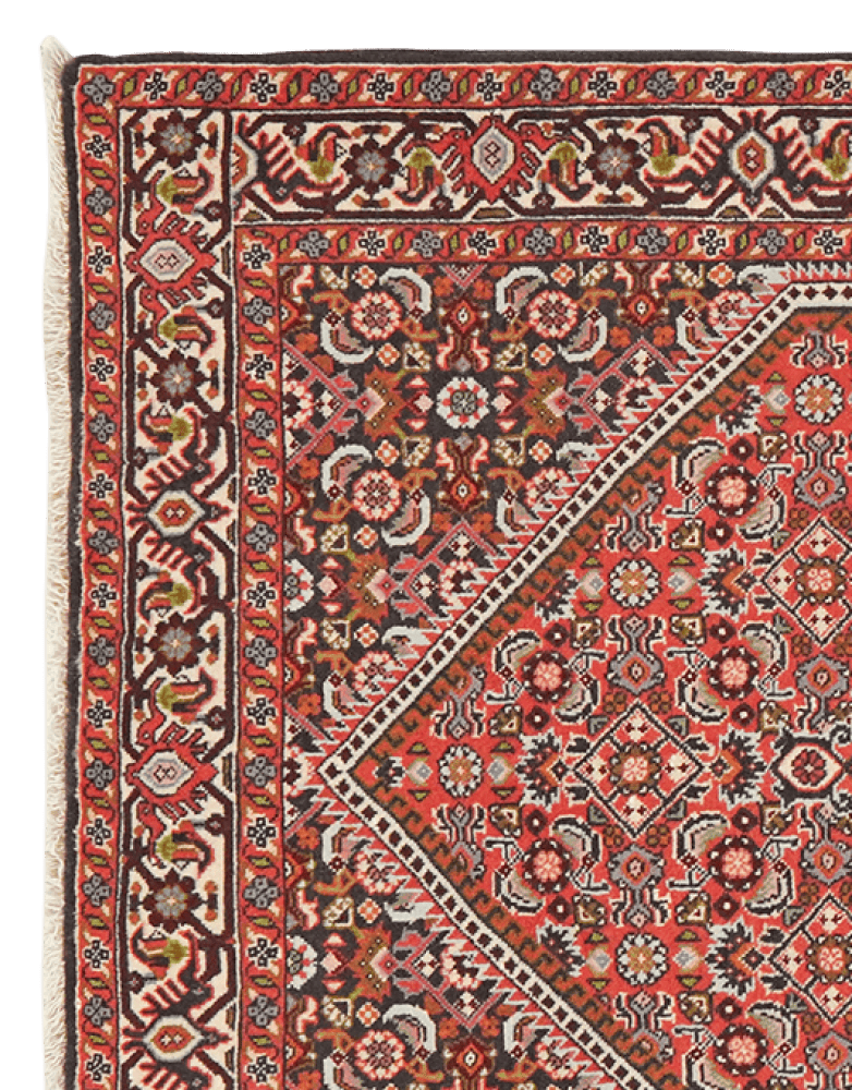 Bidjar Tekkab — Hand-knotted, 92x148 cm, Red, 100% Virgin Wool | View 3