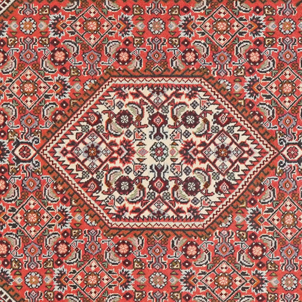 Bidjar Tekkab — Hand-knotted, 92x148 cm, Red, 100% Virgin Wool | View 4
