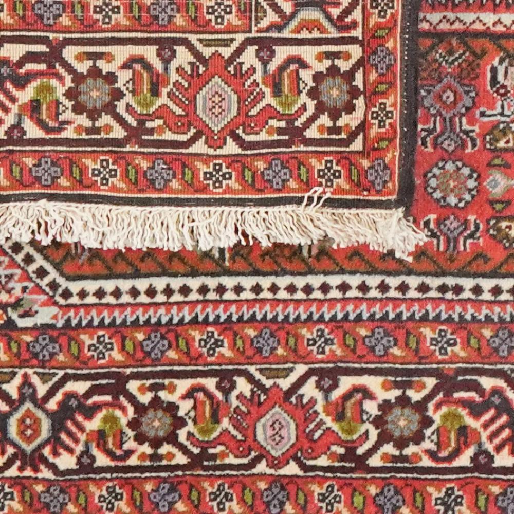 Bidjar Tekkab — Hand-knotted, 92x148 cm, Red, 100% Virgin Wool | View 6