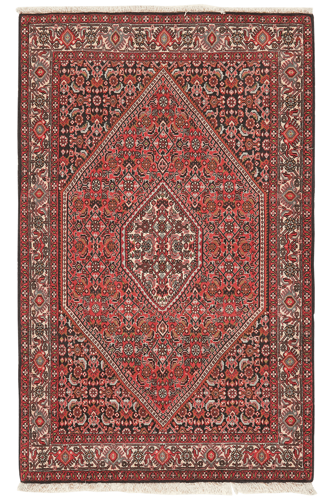 Bidjar Tekkab — Hand-knotted, 93x149 cm, Red, 100% Virgin Wool | Main view