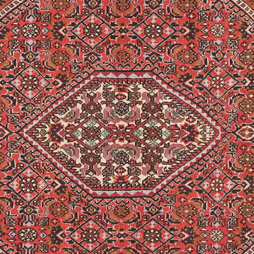 Bidjar Tekkab — Hand-knotted, 93x149 cm, Red, 100% Virgin Wool | View 4