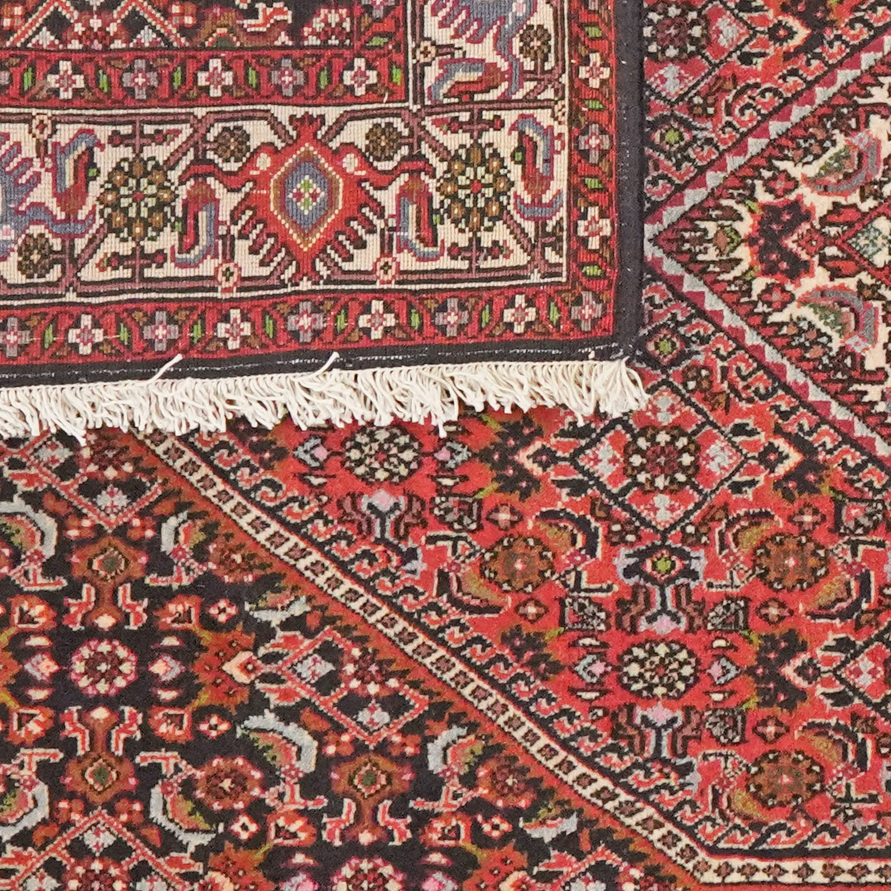 Bidjar Tekkab — Hand-knotted, 93x149 cm, Red, 100% Virgin Wool | View 6