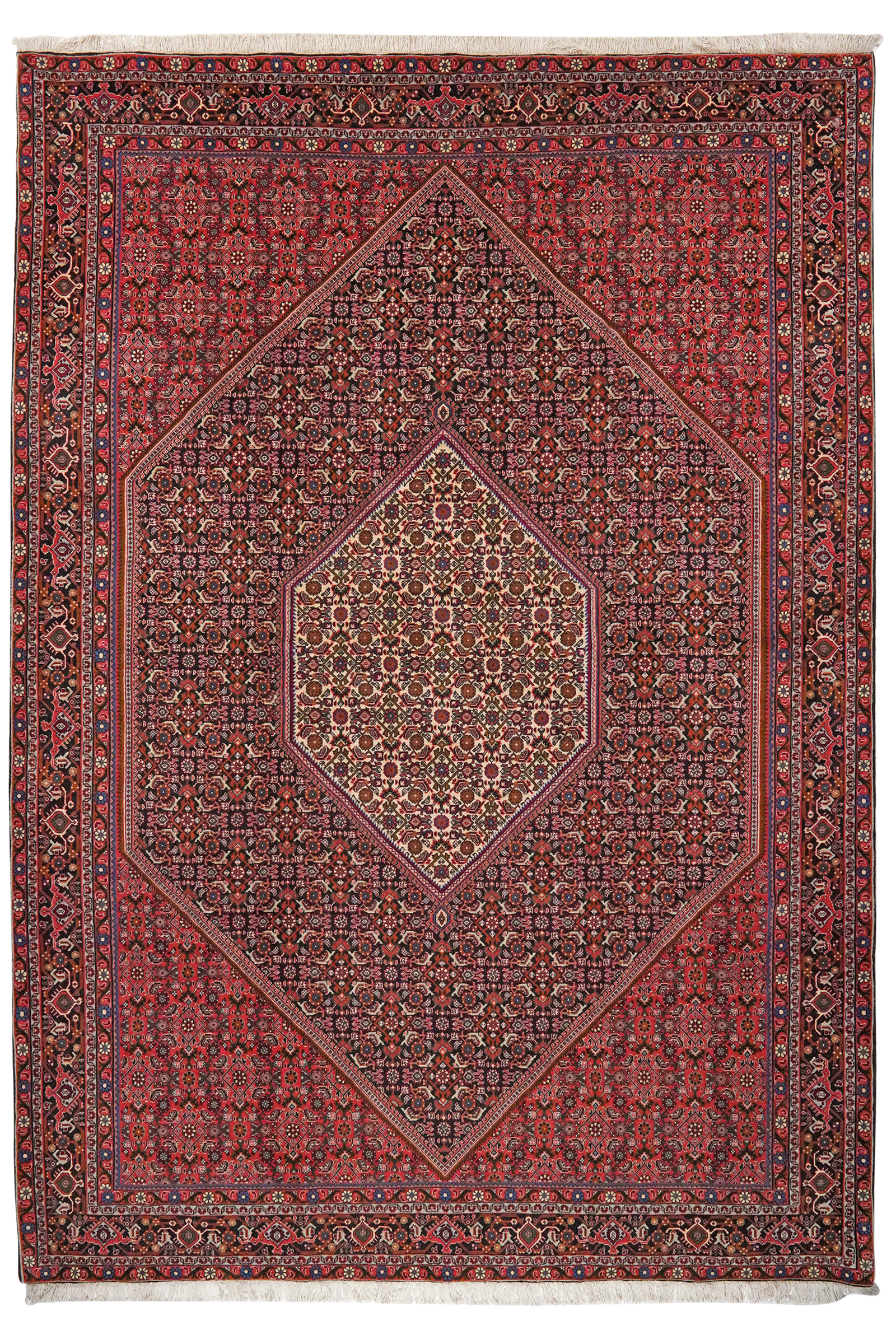 Bidjar — Handgefertigt, 298x208 cm, Blau, 100% Virgin Wool | Main view