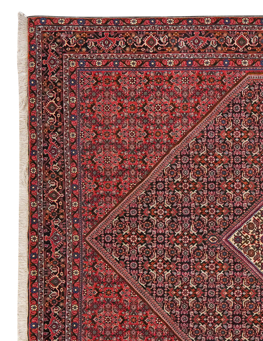 Bidjar — Handgefertigt, 298x208 cm, Blau, 100% Virgin Wool | View 4