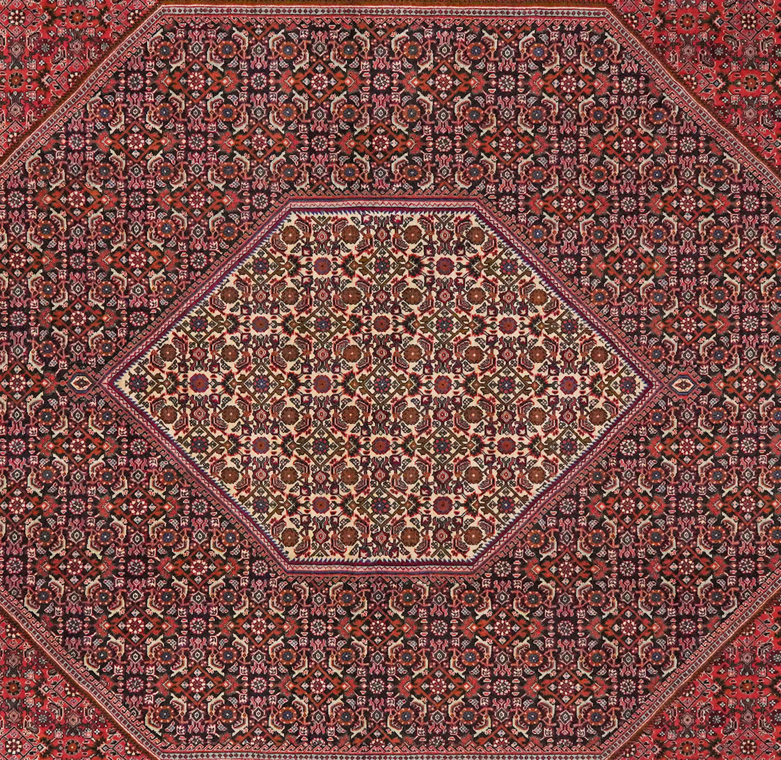 Bidjar — Handgefertigt, 298x208 cm, Blau, 100% Virgin Wool | View 5