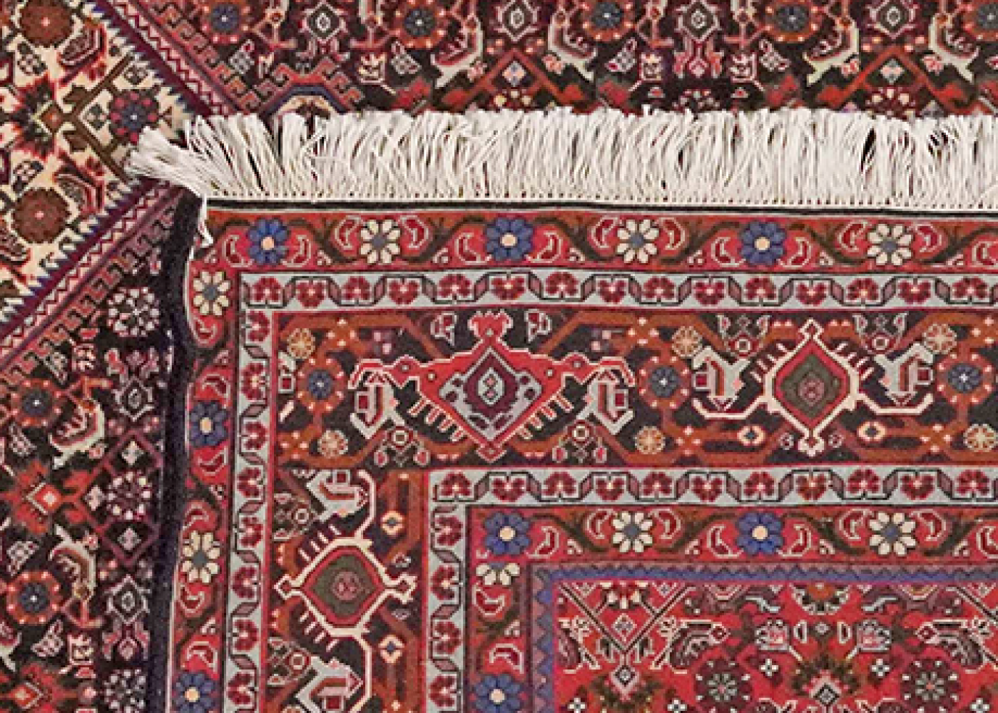 Bidjar — Handgefertigt, 298x208 cm, Blau, 100% Virgin Wool | View 7