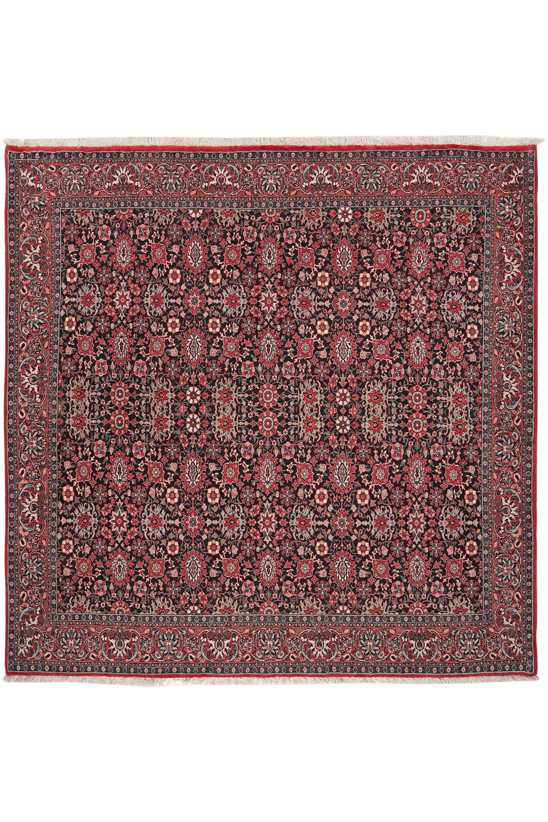 Bidjar — Hand-knotted, 202x200 cm, Blue, 100% Virgin Wool | Main view