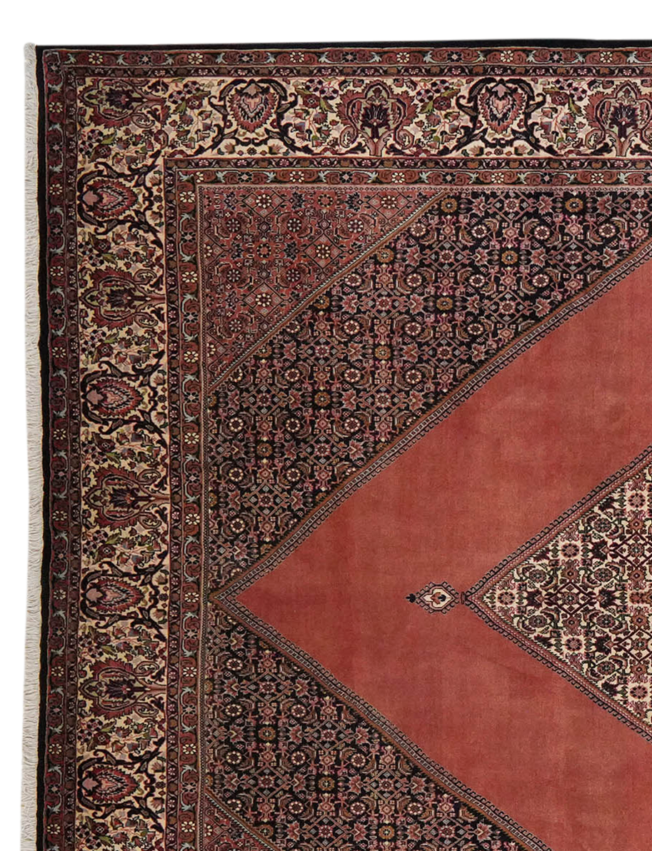 Bidjar — Handgefertigt, 358x253 cm, Beige, 100% Virgin Wool | View 4