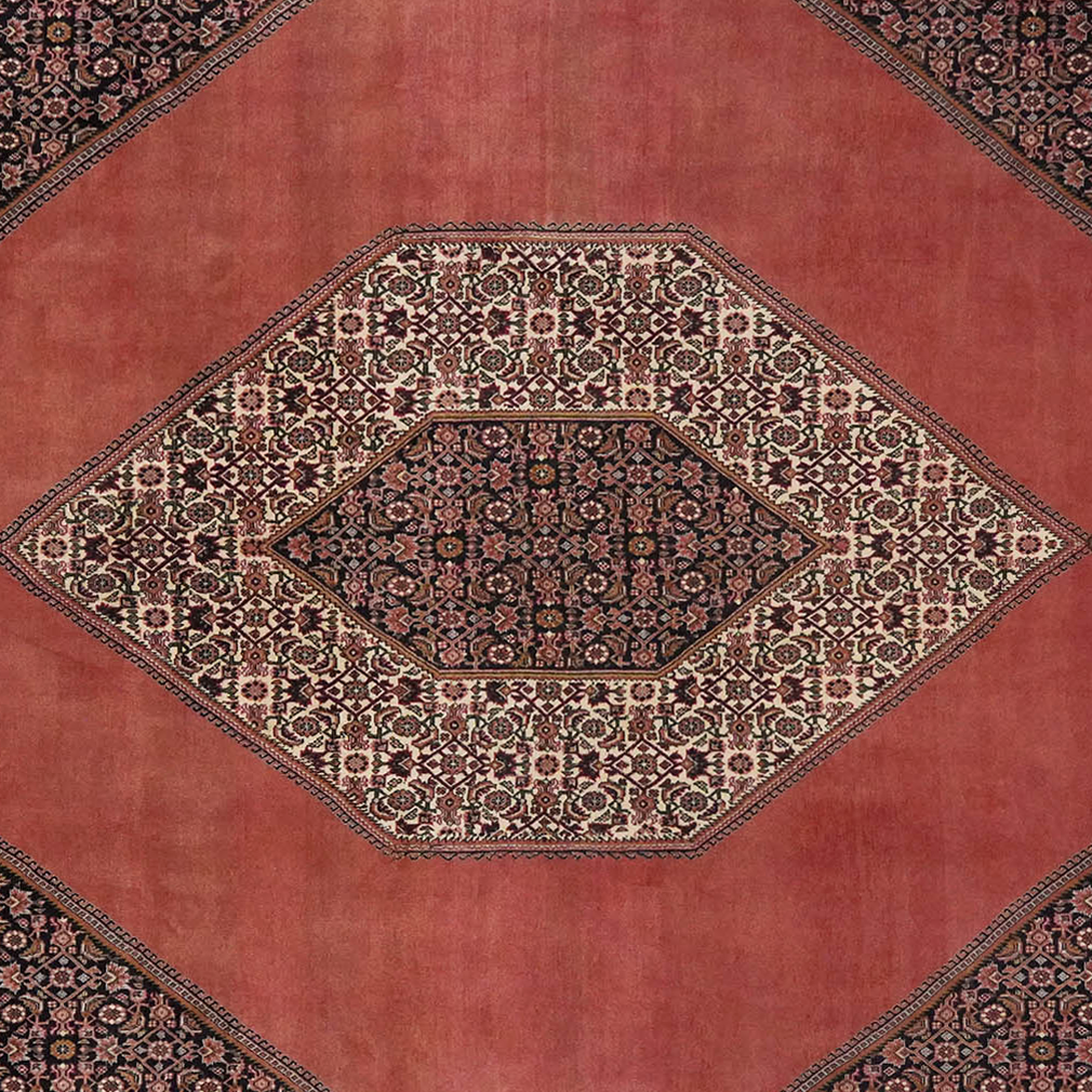 Bidjar — Handgefertigt, 358x253 cm, Beige, 100% Virgin Wool | View 5