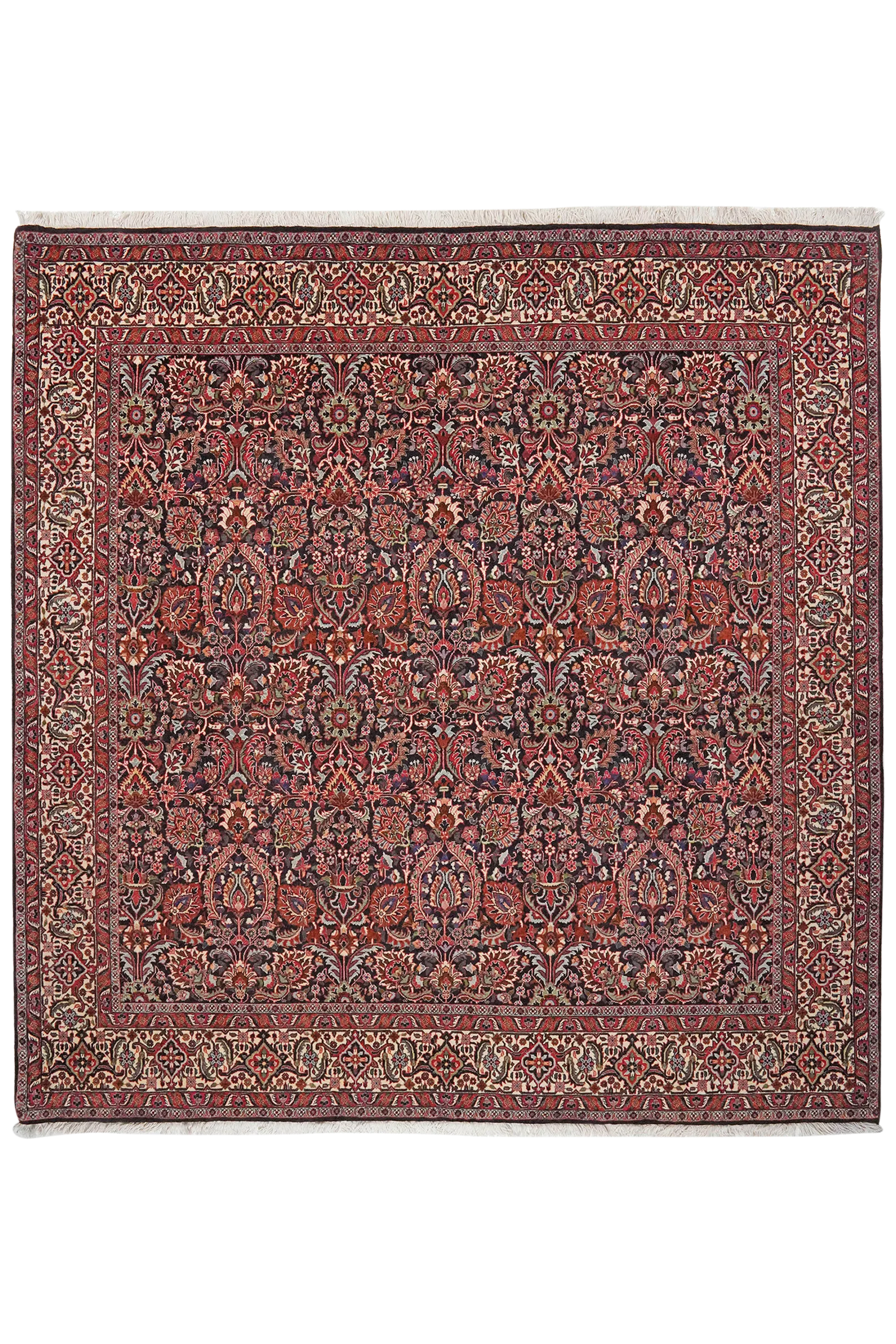 Bidjar — Handgefertigt, 213x205 cm, Beige, 100% Virgin Wool | Main view