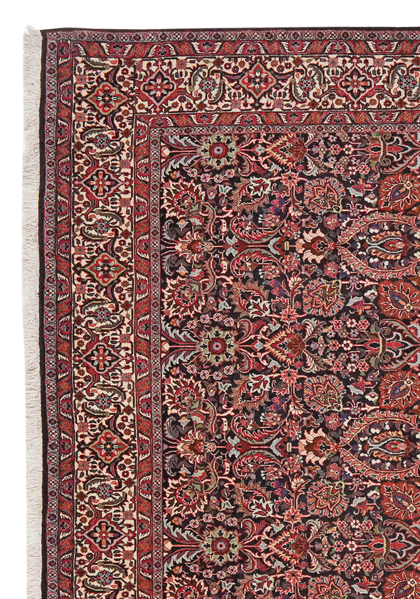 Bidjar — Handgefertigt, 213x205 cm, Beige, 100% Virgin Wool | View 4