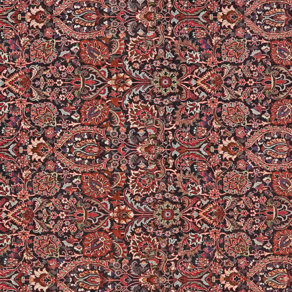 Bidjar — Handgefertigt, 213x205 cm, Beige, 100% Virgin Wool | View 5