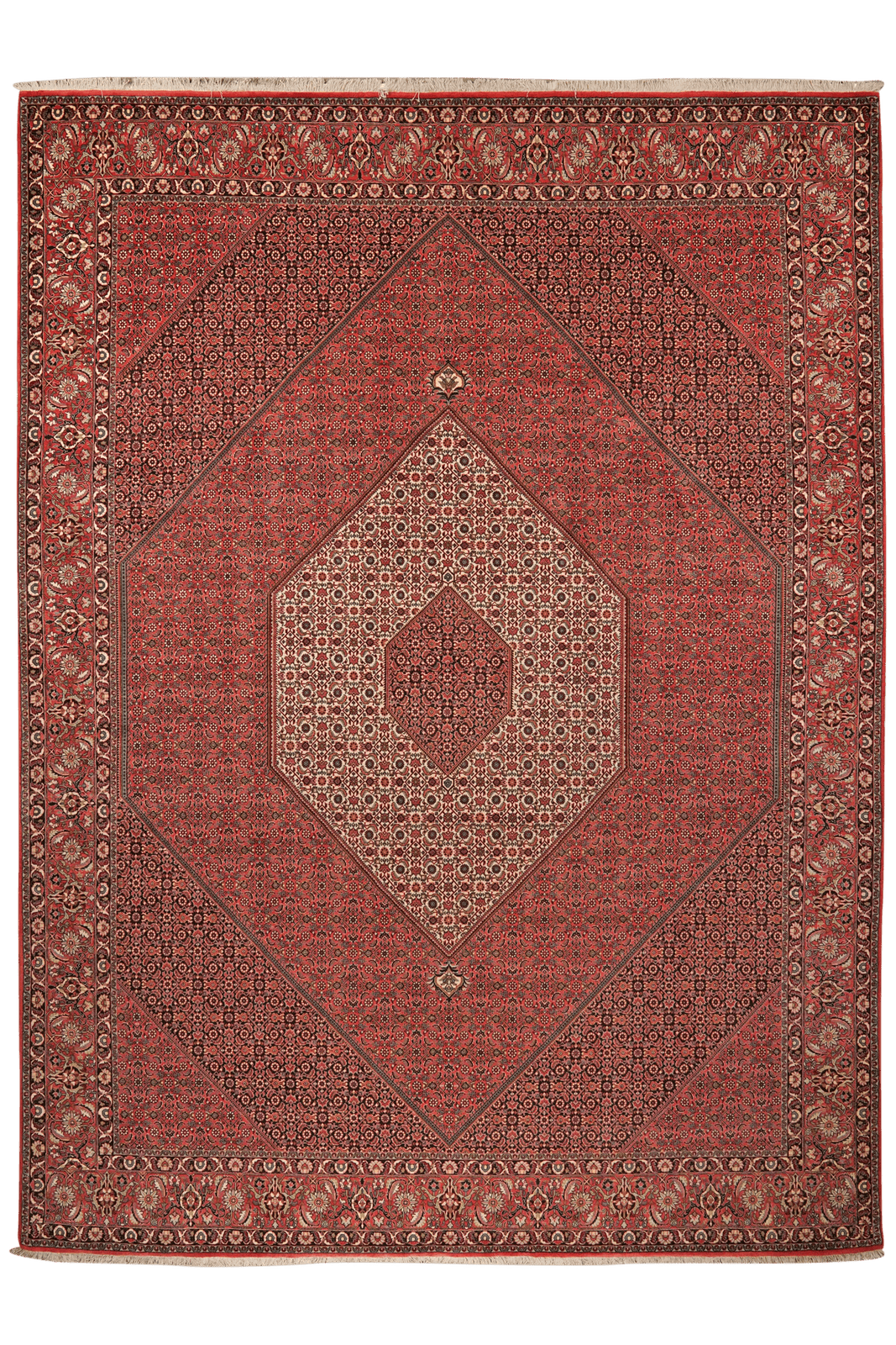 Bidjar — Hand-knotted, 302x402 cm, Red, 100% Virgin Wool | Main view