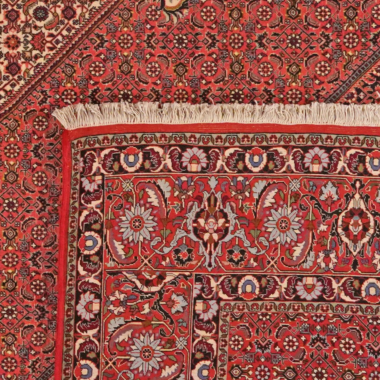 Bidjar — Hand-knotted, 302x402 cm, Red, 100% Virgin Wool | View 6