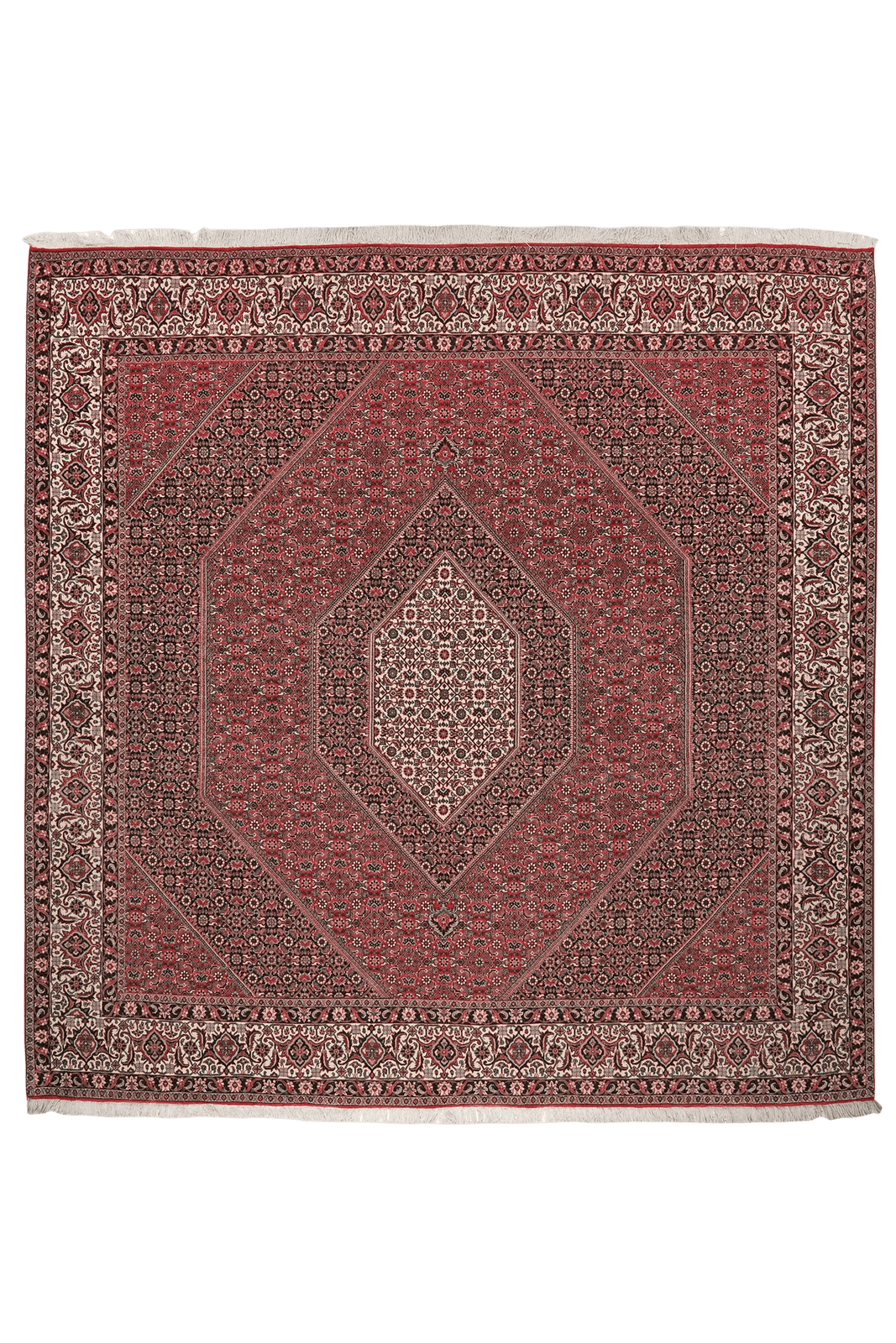 Bidjar — Hand-knotted, 255x259 cm, Red, 100% Virgin Wool | Main view