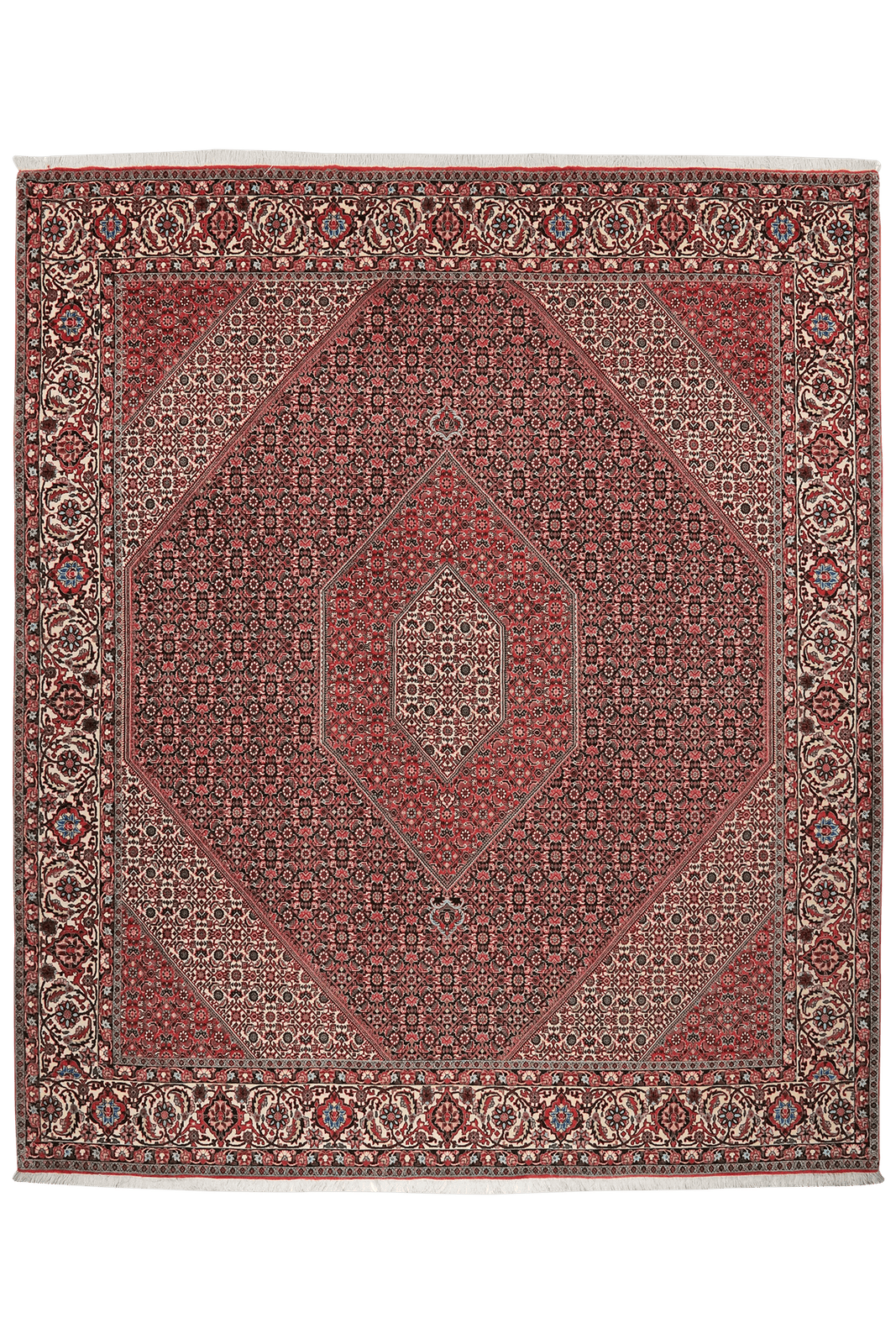 Bidjar — Hand-knotted, 257x303 cm, Blue, 100% Virgin Wool | Main view
