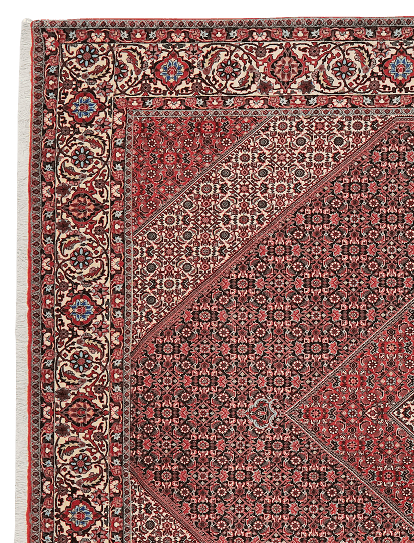Bidjar — Hand-knotted, 257x303 cm, Blue, 100% Virgin Wool | View 3