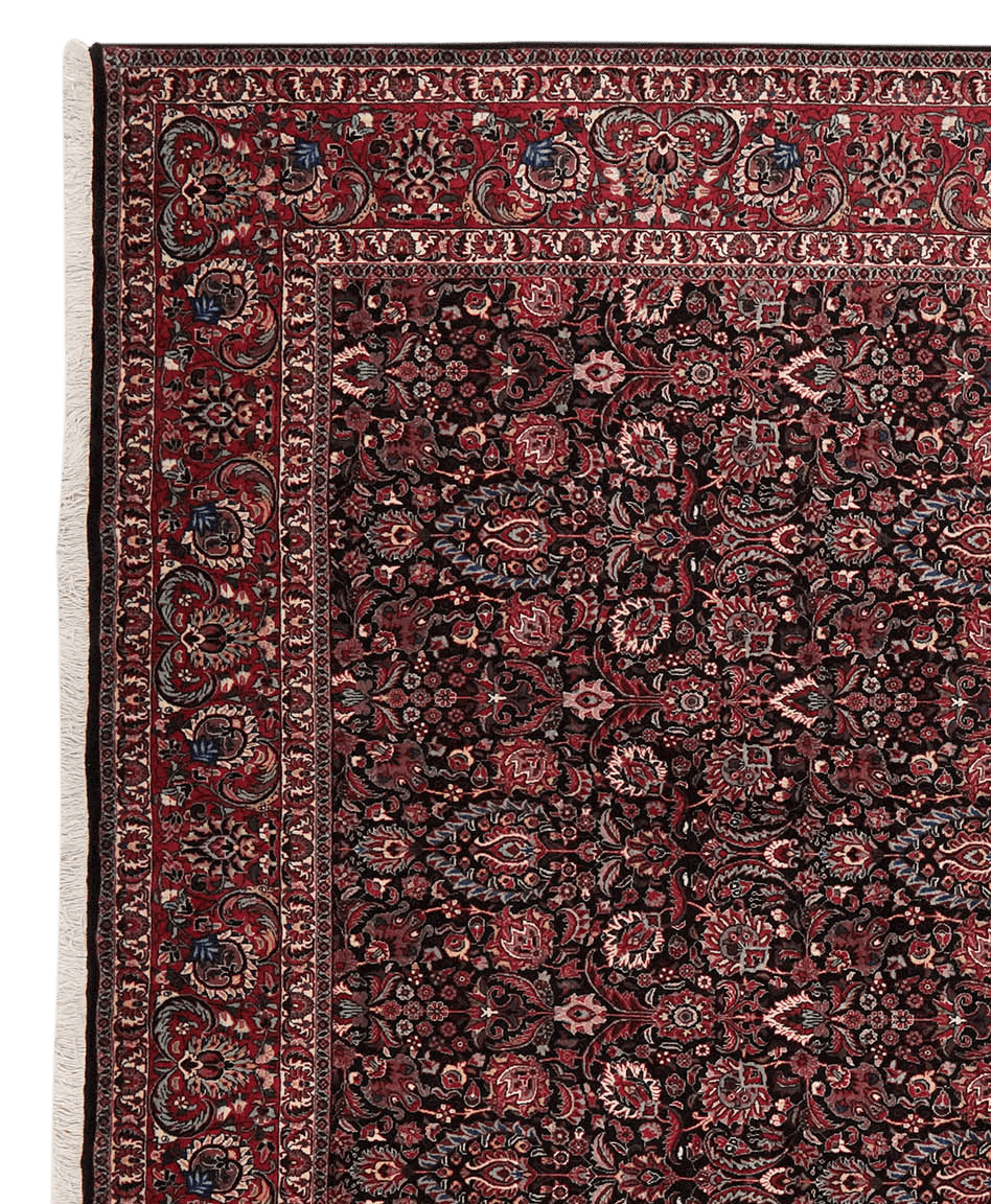 Bidjar — Hand-knotted, 251x344 cm, Black, 100% Virgin Wool | View 3