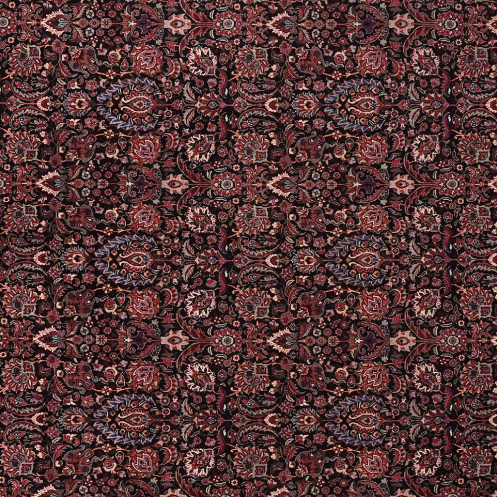 Bidjar — Hand-knotted, 251x344 cm, Black, 100% Virgin Wool | View 4