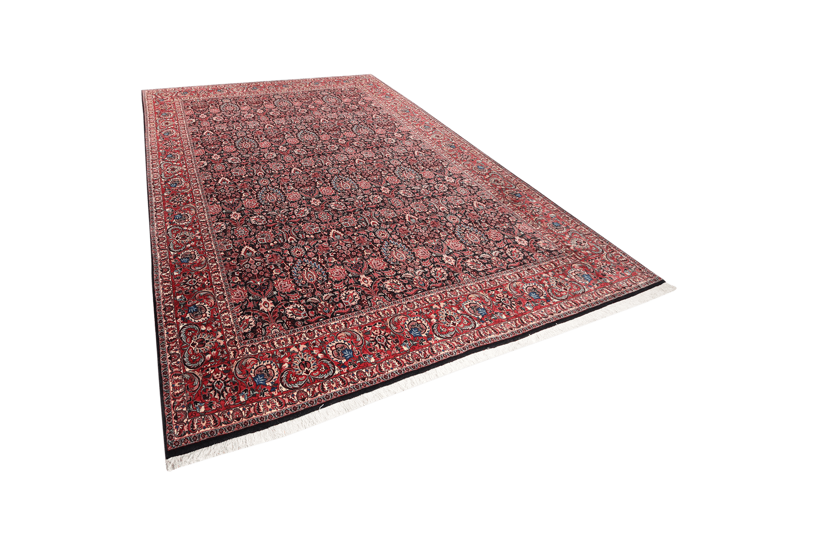 Bidjar — Hand-knotted, 251x344 cm, Black, 100% Virgin Wool | View 5