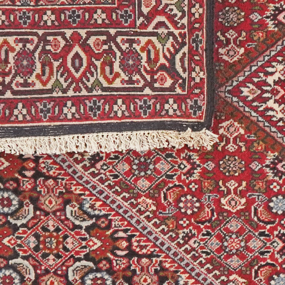 Bidjar Tekkab — Hand-knotted, 93x157 cm, Red, 100% Virgin Wool | View 6