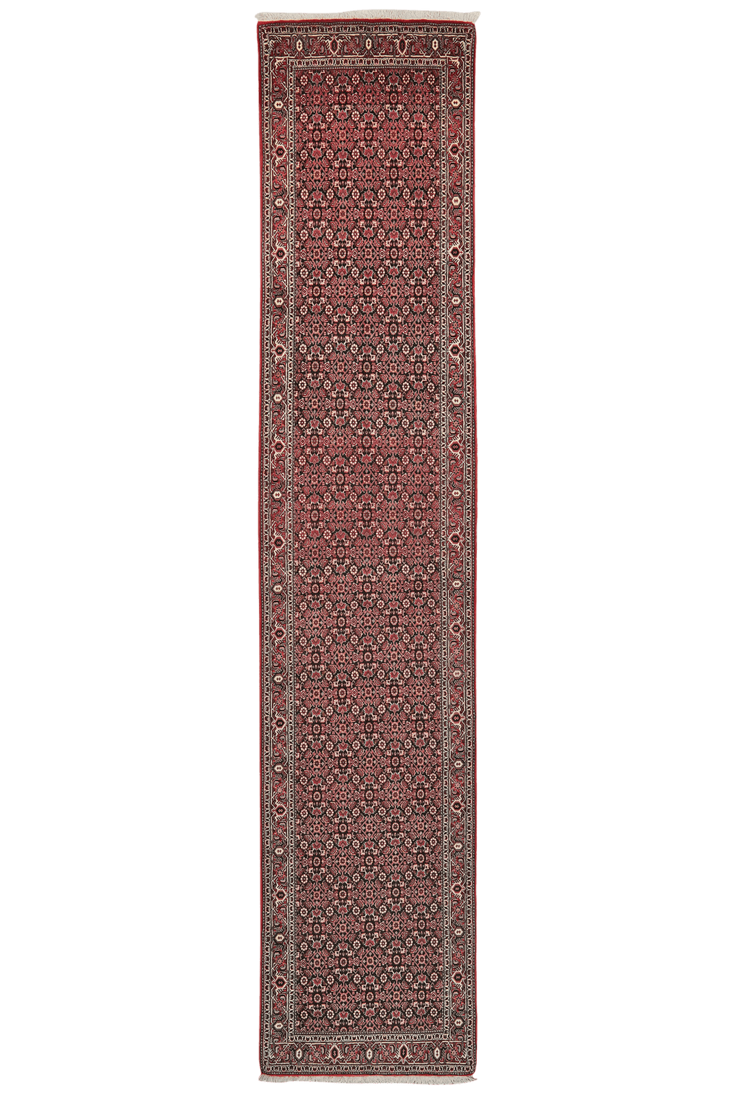 Bidjar — Hand-knotted, 81x392 cm, Blue, 100% Virgin Wool | Main view