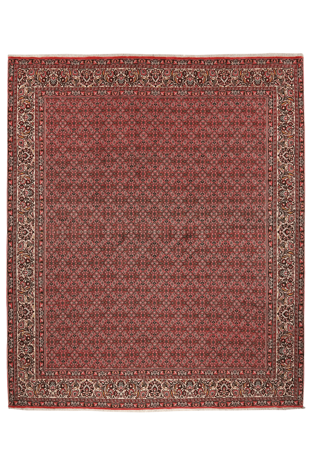 Bidjar — Hand-knotted, 255x303 cm, Red, 100% Virgin Wool | Main view