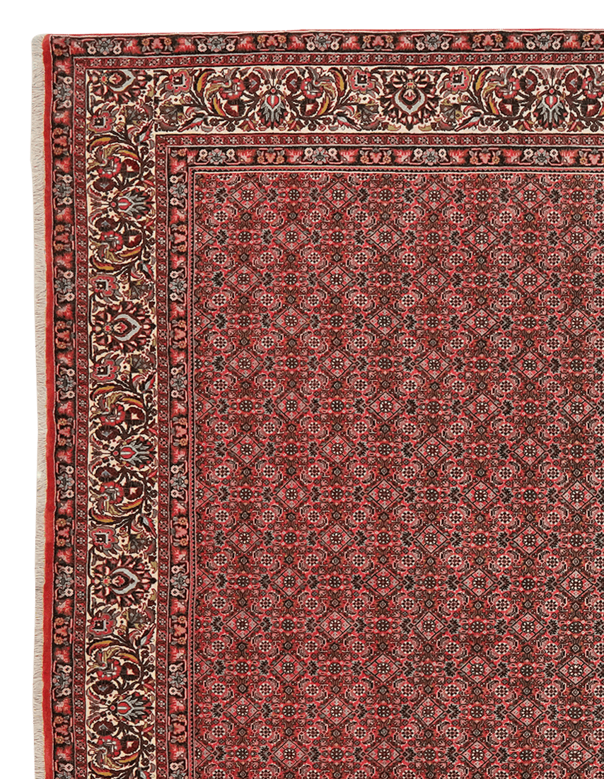 Bidjar — Hand-knotted, 255x303 cm, Red, 100% Virgin Wool | View 3