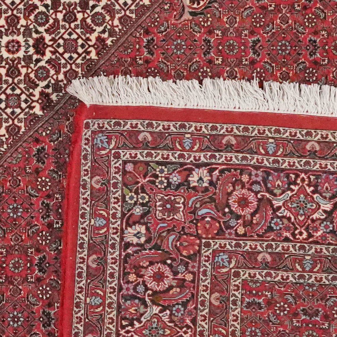 Bidjar — Hand-knotted, 255x314 cm, Red, 100% Virgin Wool | View 6