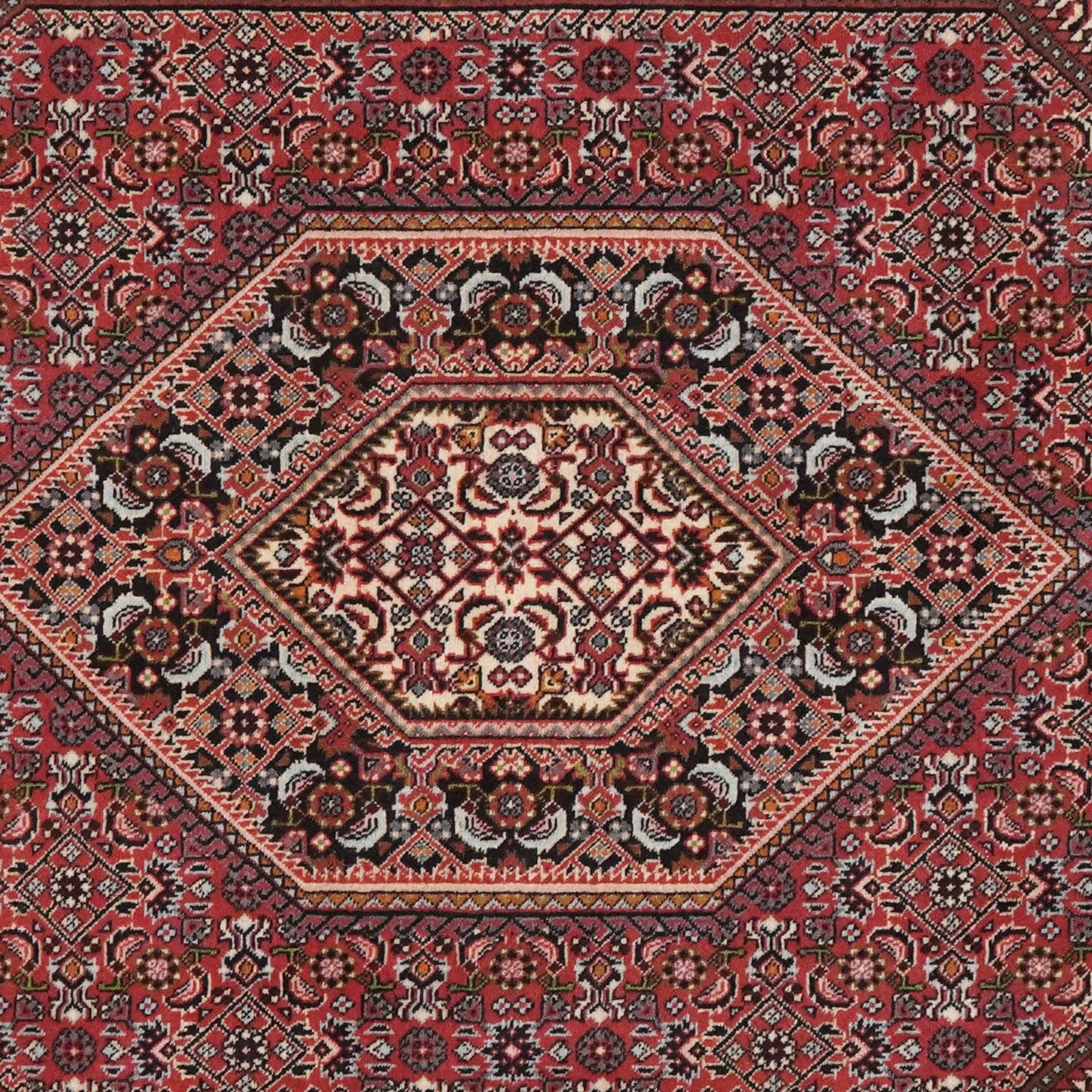 Bidjar — Hand-knotted, 111x185 cm, Red, 100% Virgin Wool | View 4