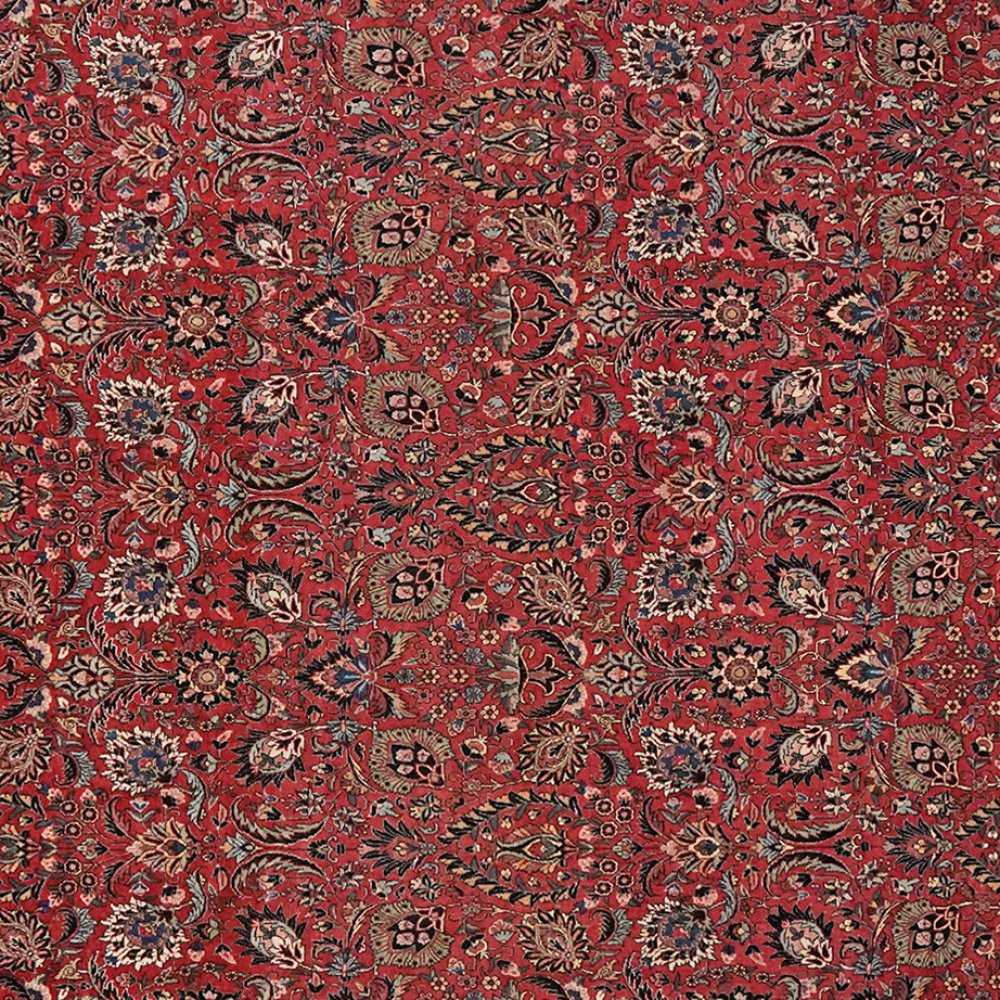 Bidjar — Hand-knotted, 254x298 cm, Red, 100% Virgin Wool | View 4