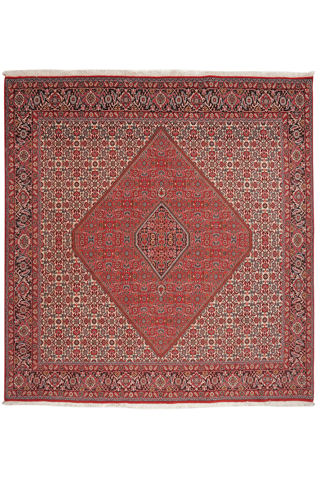 Bidjar Zandjan — Hand-knotted, 201x208 cm, Red, 100% Virgin Wool | Main view