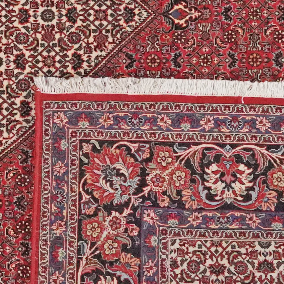 Bidjar — Hand-knotted, 255x299 cm, Red, 100% Virgin Wool | View 6