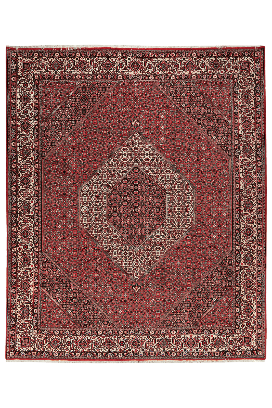 Bidjar — Hand-knotted, 256x311 cm, Red, 100% Virgin Wool | Main view