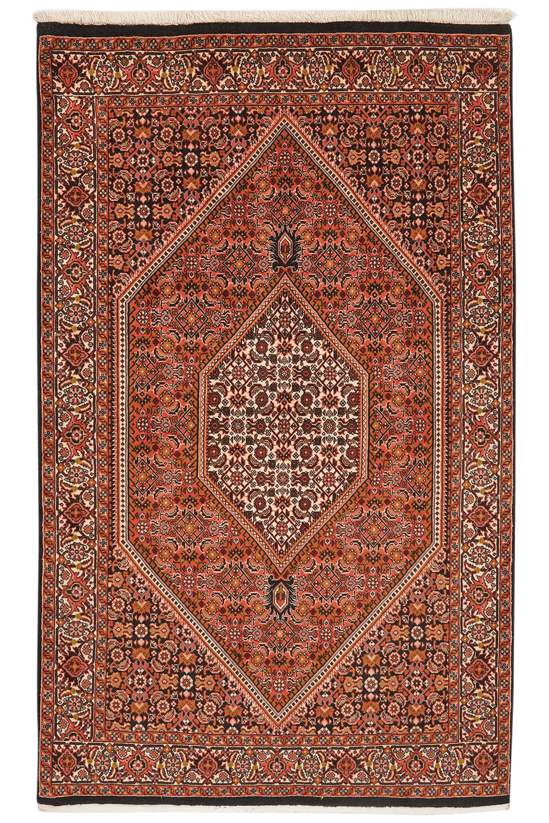 Bidjar Zandjan — Hand-knotted, 114x184 cm, Red, 100% Virgin Wool | Main view
