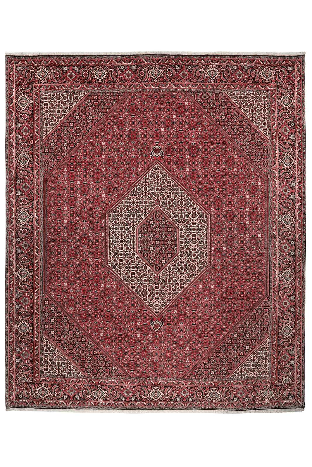 Bidjar — Hand-knotted, 257x308 cm, Red, 100% Virgin Wool | Main view