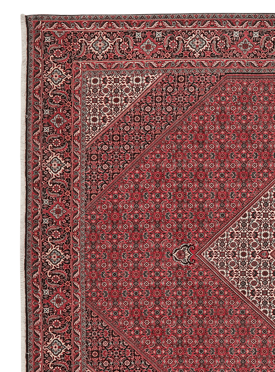 Bidjar — Hand-knotted, 257x308 cm, Red, 100% Virgin Wool | View 3