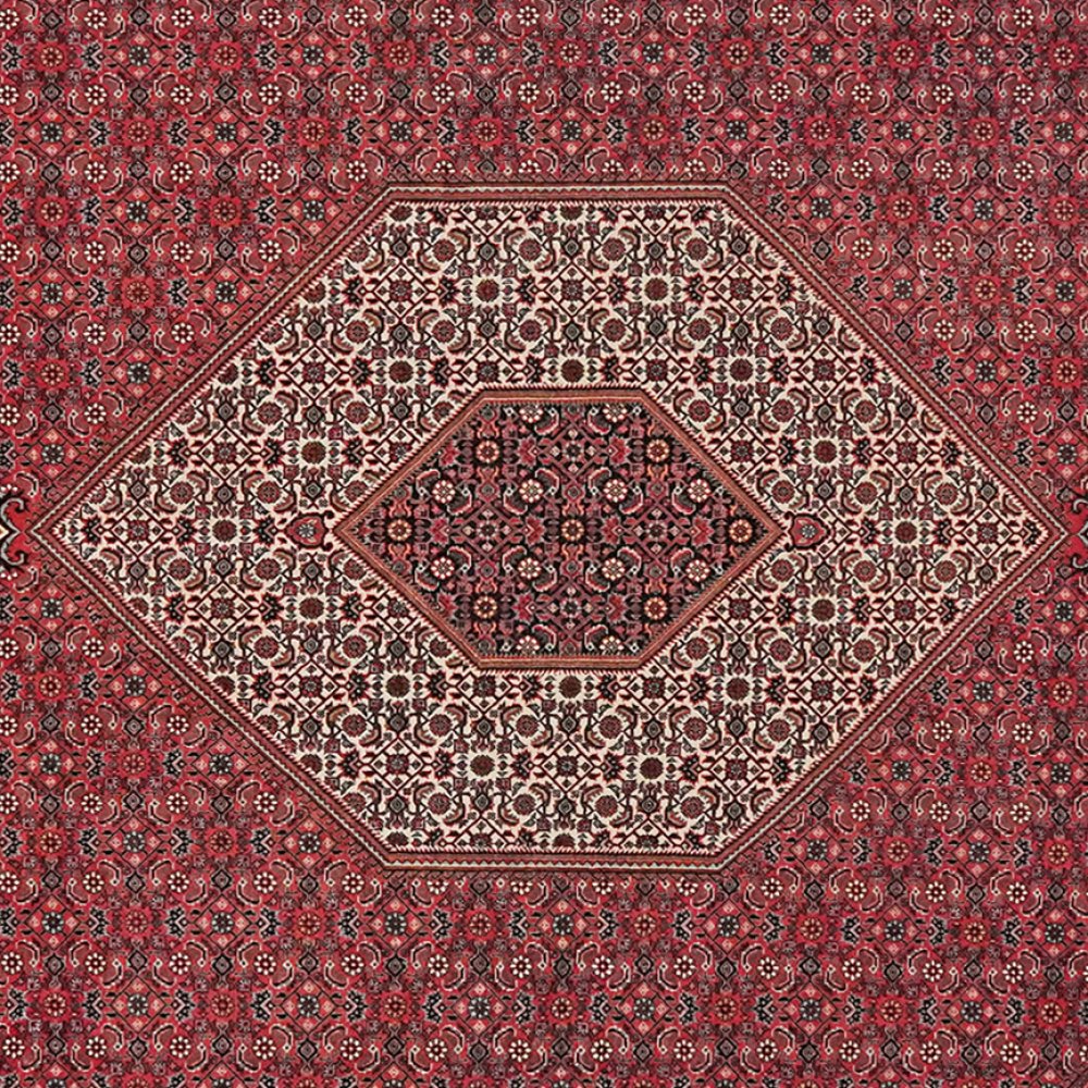 Bidjar — Hand-knotted, 257x308 cm, Red, 100% Virgin Wool | View 4