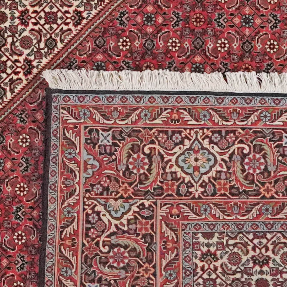 Bidjar — Hand-knotted, 257x308 cm, Red, 100% Virgin Wool | View 6