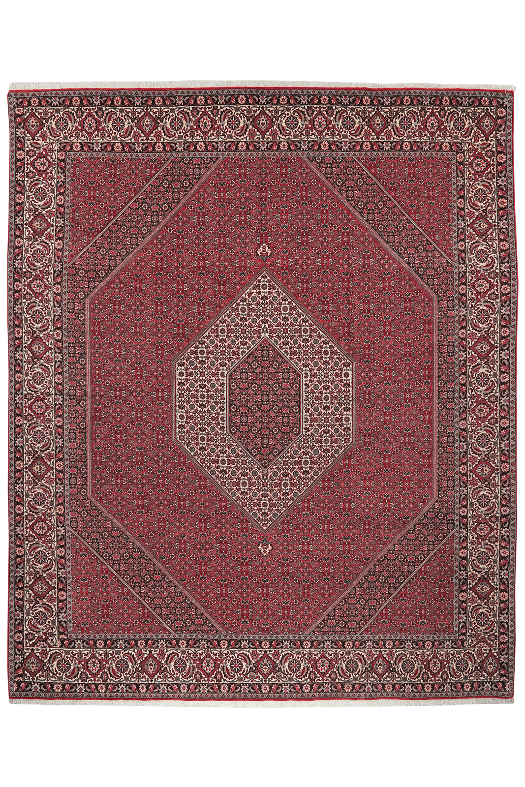 Bidjar — Hand-knotted, 252x308 cm, Red, 100% Virgin Wool | Main view