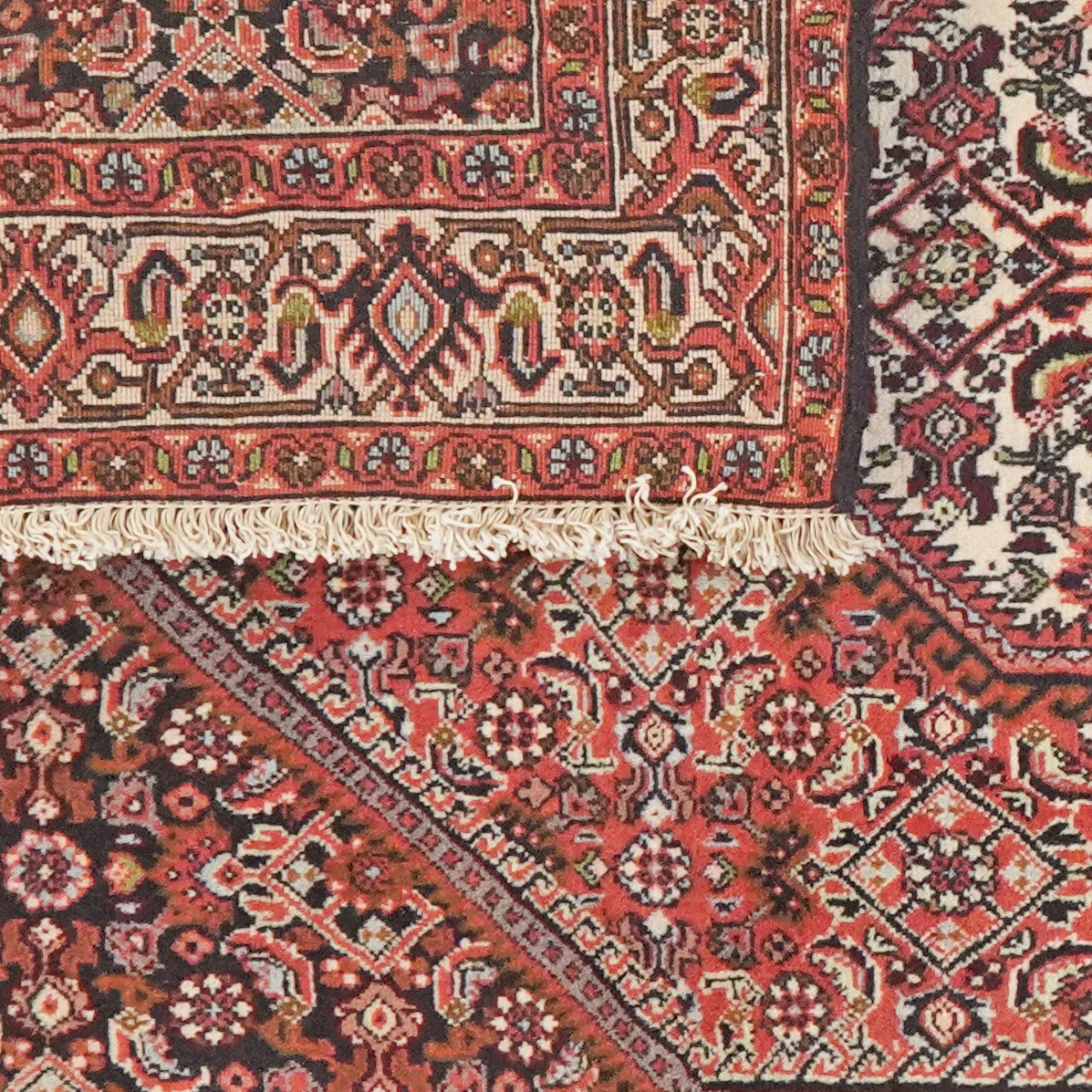 Bidjar Tekkab — Hand-knotted, 93x140 cm, Red, 100% Virgin Wool | View 6