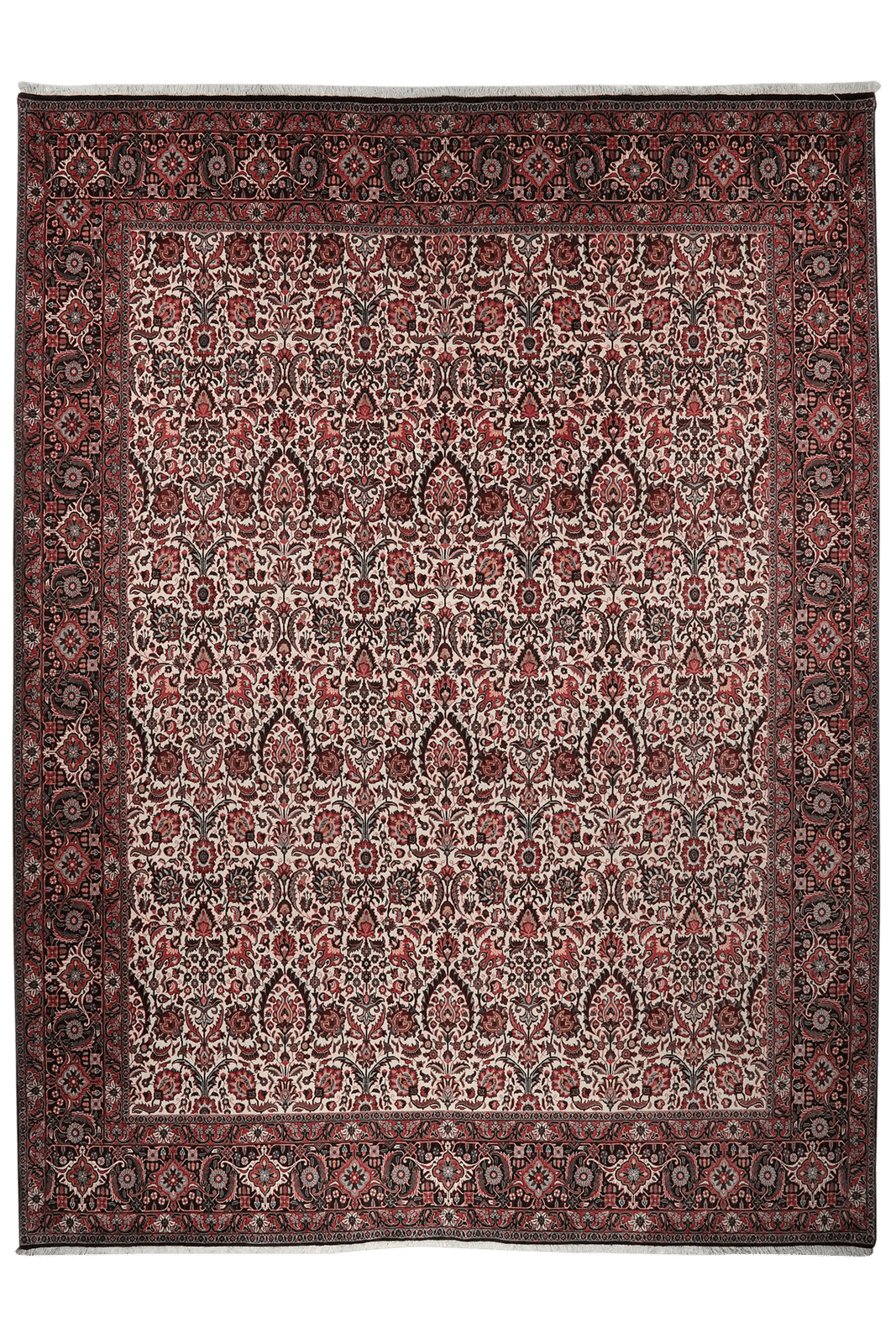 Bidjar — Hand-knotted, 259x347 cm, Beige, 100% Virgin Wool | Main view
